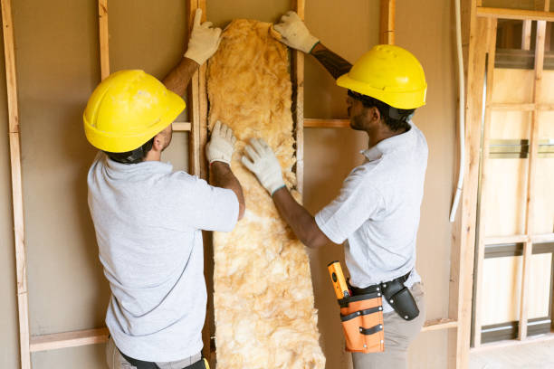 Best Insulation Removal  in Hinckley, IL